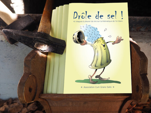 L'Association Cum Grano Salis publie "Drôle de sel"